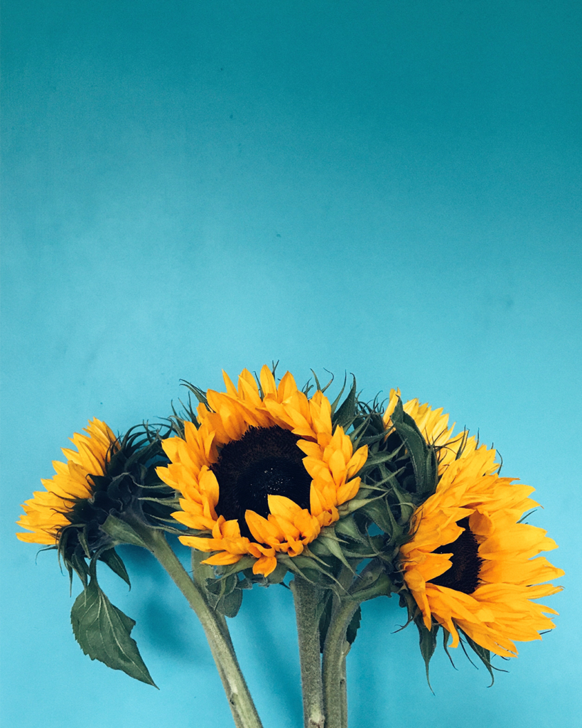 Tech-Warrior__SBWS-v3__Website-images__02