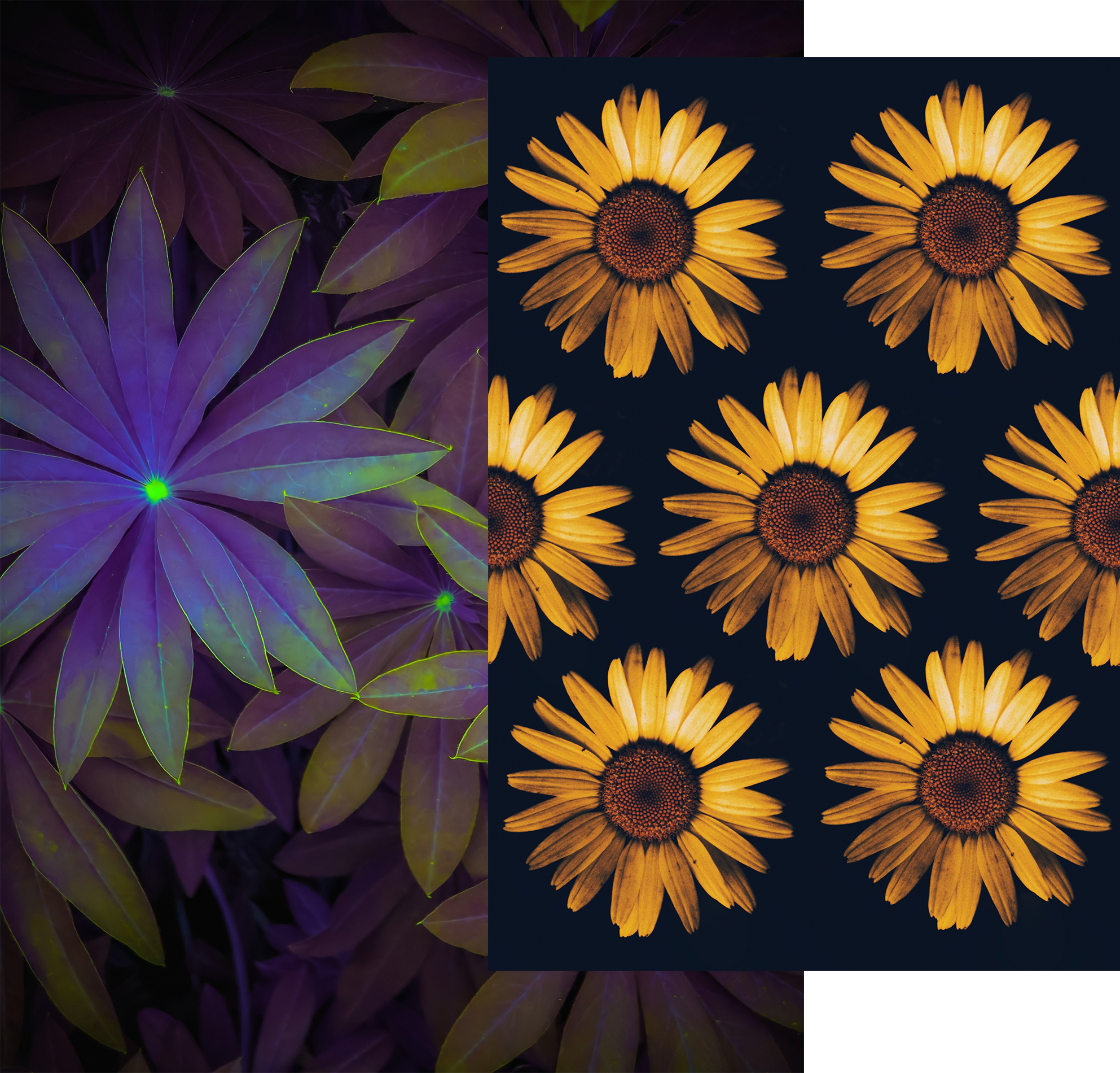 Tech-Warrior__SBWS-v3__Website-images__13