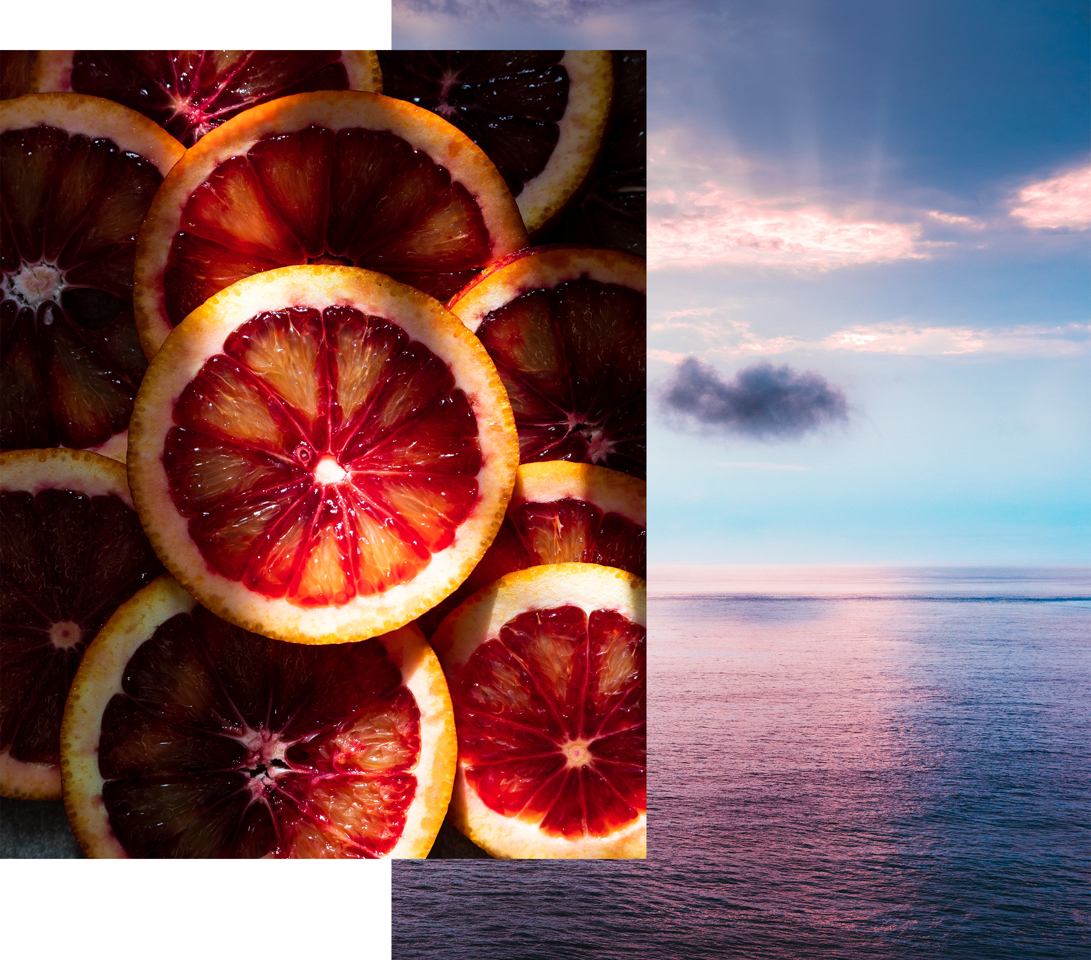 Tech-Warrior__SBWS-v3__Website-images__14