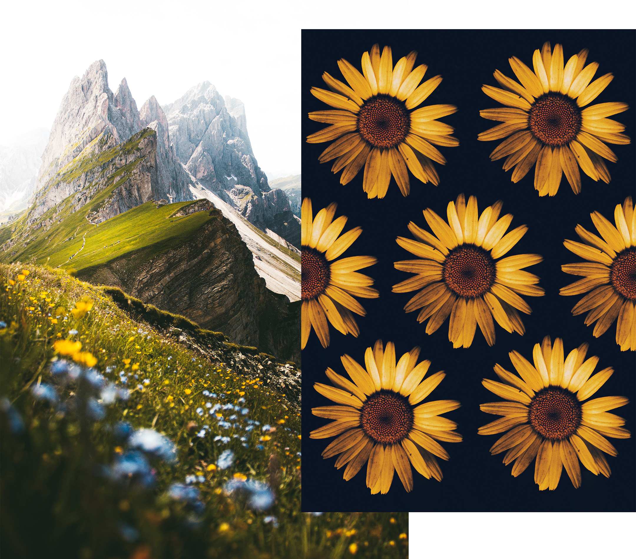 Tech-Warrior__SBWS-v3__Website-images__15